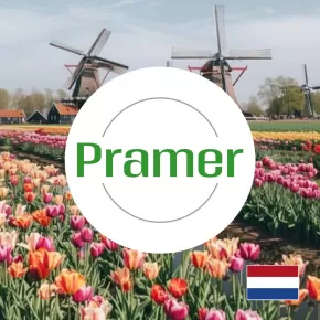 Produkcja sałatek w Dronten (praca dla par)
